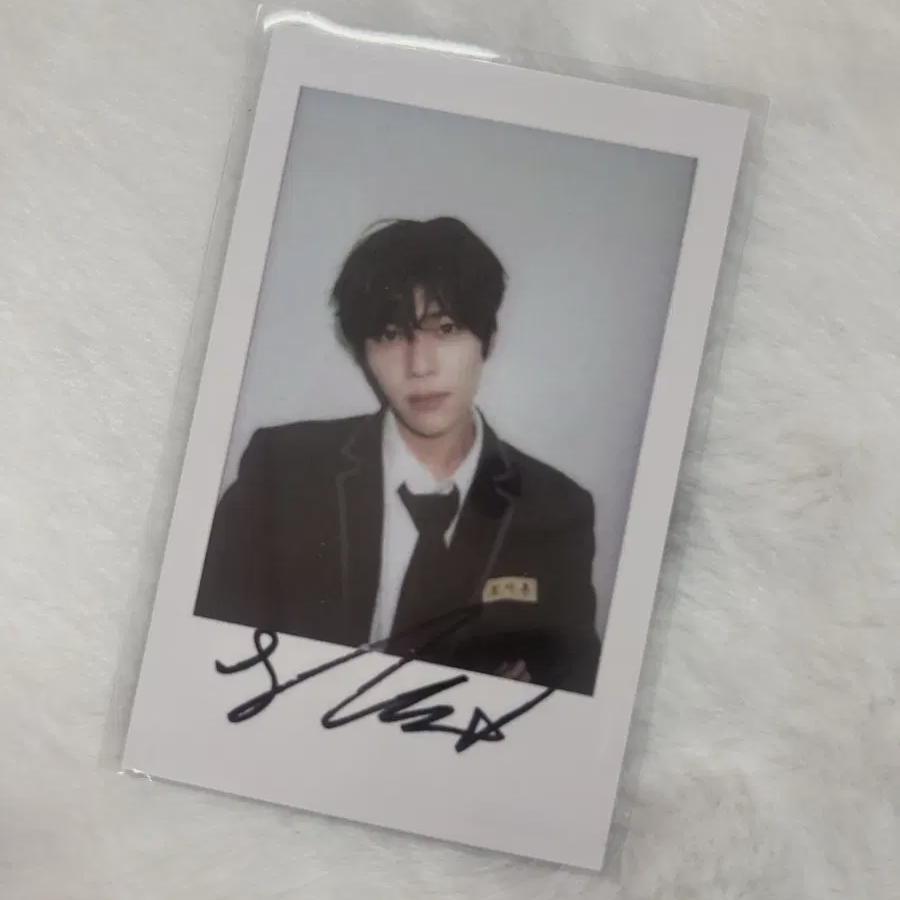 

Ncitywish Zion Kms Songbird Polaroid