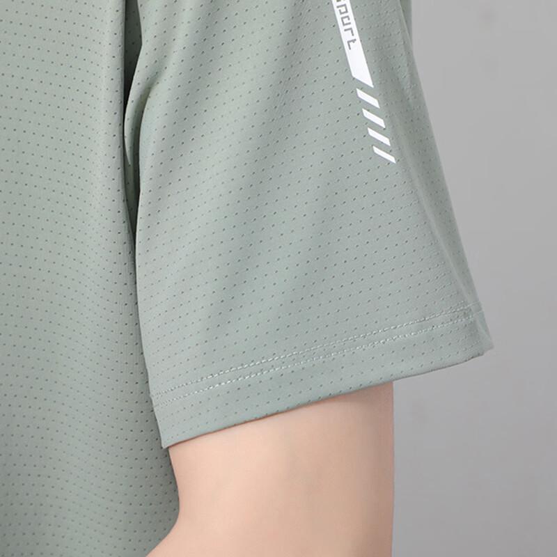 Pierre Cardin Men's Summer Ice Silk Short Sleeve T-shirt