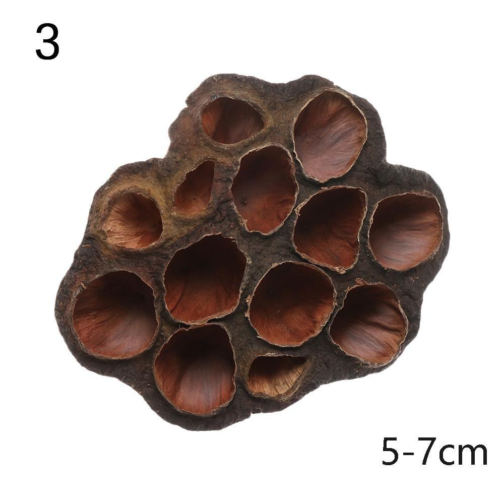 

Поделки Домашние украшения Товары для вечеринок Имитация Коричневый цветок лотоса Прессованные цветы Сушеный лотос 3-5-7cm