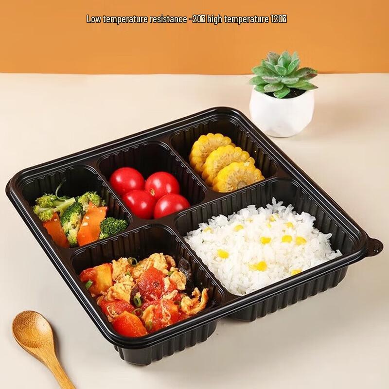 Disposable Food Container with 5 Compartments