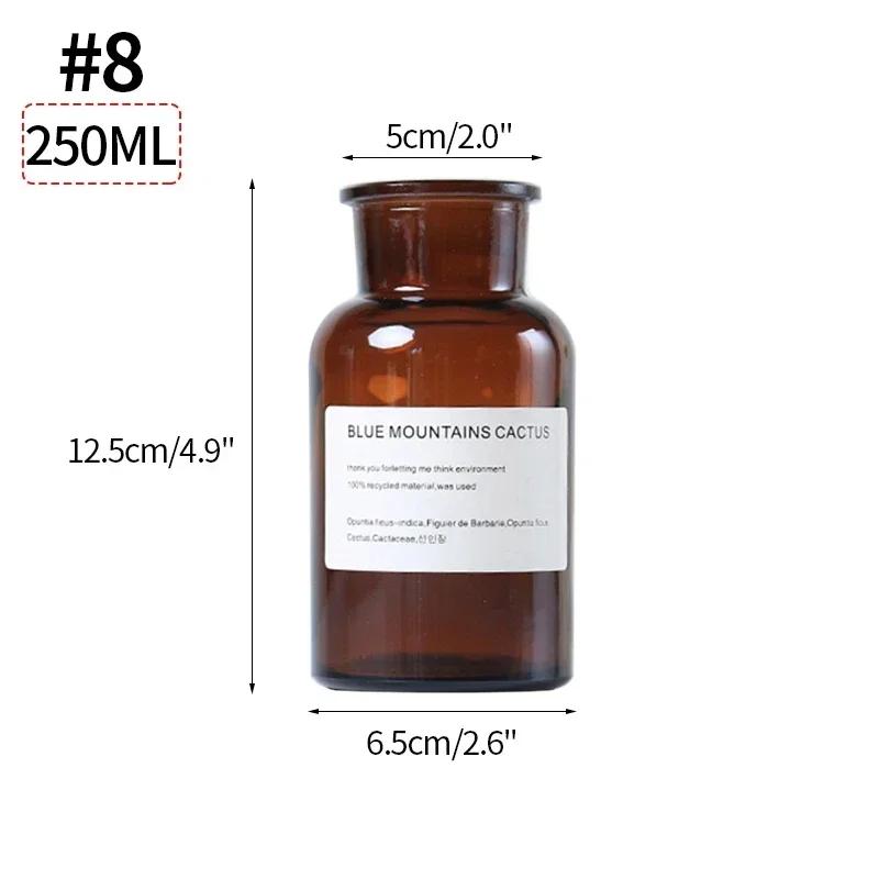 Ins Glass Flower Vase Transparent Dried Flower Hydroponic Terrarium Container Bottle Clear Plant Bottles Home Desktop Decor