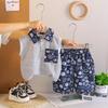 Boys' Korean Style Summer Sleeveless Polo & Shorts Set - 2026