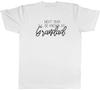 Next Year Ill be known as Grandad Unisexs Unisex TShirt Tee
