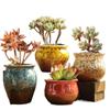 Coarse Pottery Succulent Plant Pot with Creative Picture Book Style for Floor-Standing Silk Flowers