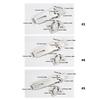 Anti Theft Hasp Staple Shed Latches With High Security Rusts Resistance Door Lock Padlock Clasp Furniture Accessories