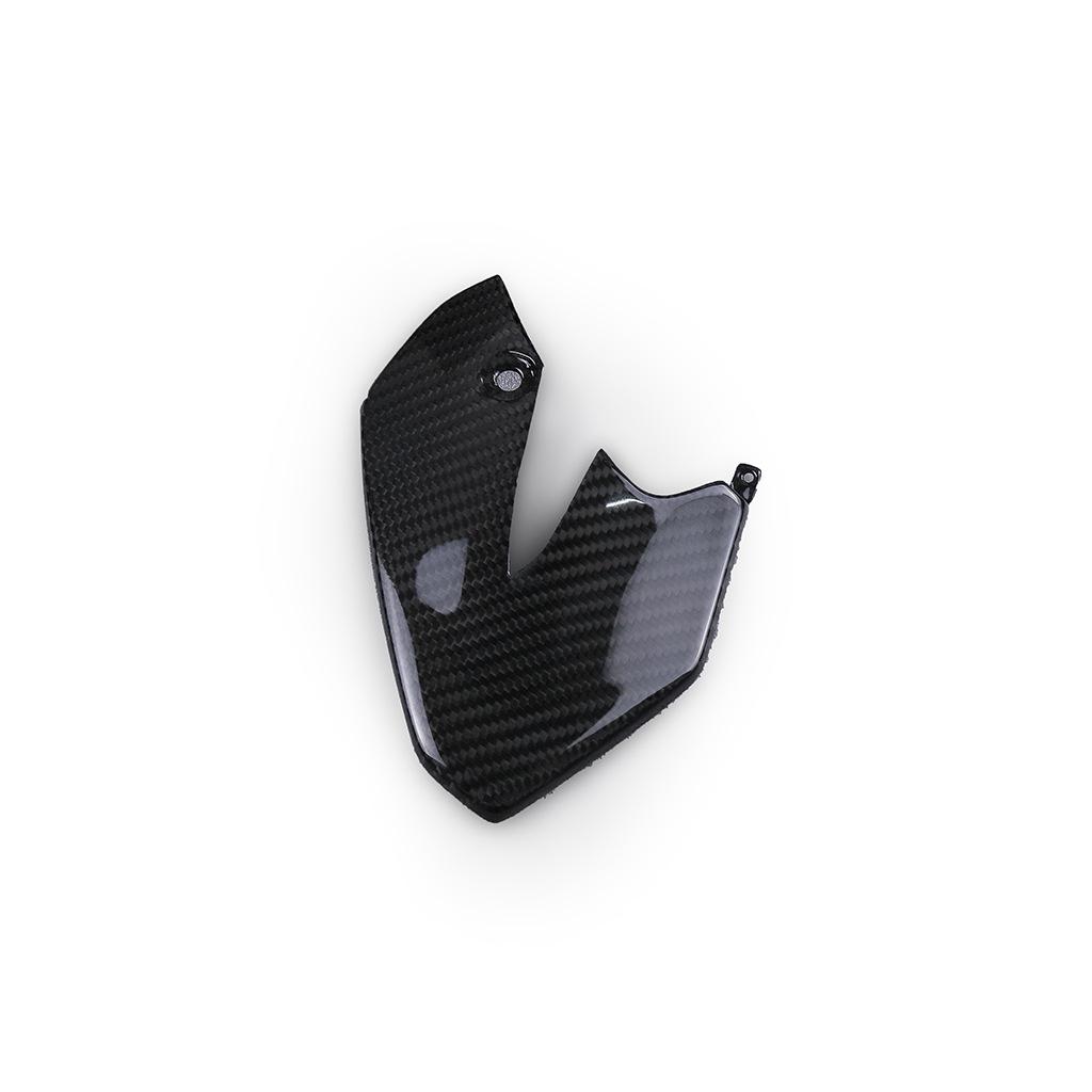 BMW S1000XR 2015-2019 Carbon Fiber Single Side Panel