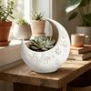 Embossed Star Pattern Jewelry Storage Tray 3D Printing Moon Shaped Storage Box  Home Decoration