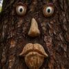 Outdoor Tree Face Whimsical Sculpture Set For Garden Decoration With Funny Looks