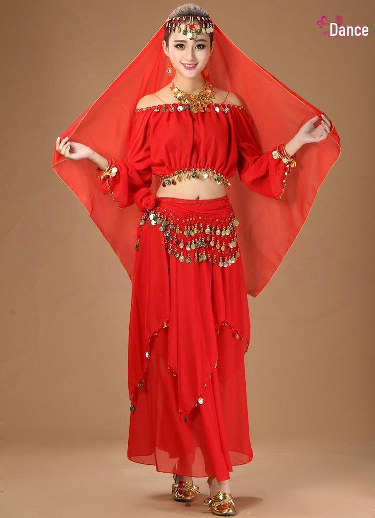 Traditional Ethnic Belly Dance Costume with Coin Skirt and Long Sleeves