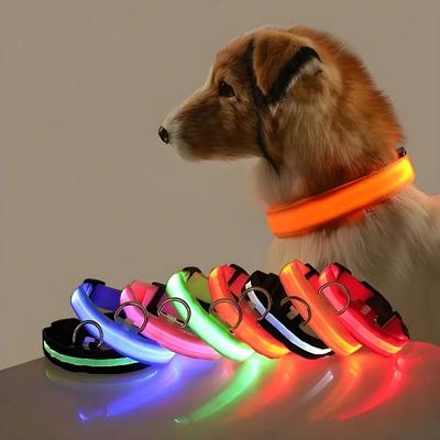 Collare per cani in nylon LED di sicurezza notturna lampeggiante che si illumina al buio Guinzaglio per cani da compagnia Cani da compagnia Accessori per cani fluorescenti luminosi collare
