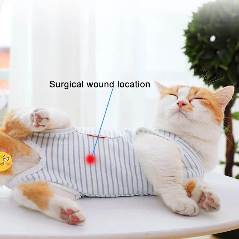 Costume de récupération pour chat, tenue de soins de stérilisation à rayures pour animal de compagnie, vêtements de récupération Anti-léchage après chirurgie pour chats, combinaison gilet pour chiot