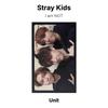 Stray Kids Ich bin KEINE offizielle Fotokarte