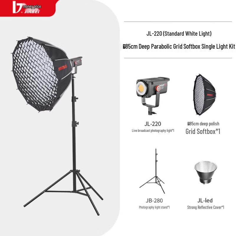 JINBEI JL220W LED Continuous Video Light Kit