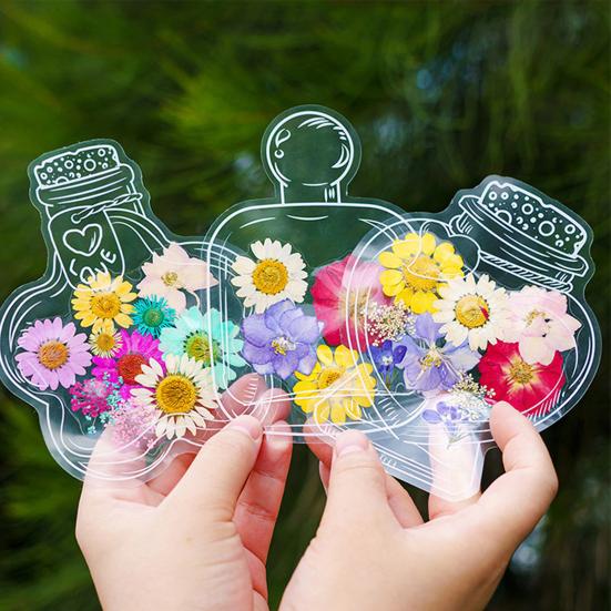 thumbnail image 2 of 20pcs Transparent Dried Flower Bookmarks - Botanical Pressed Flower Page Clips For Reading & Crafts 2 of 11