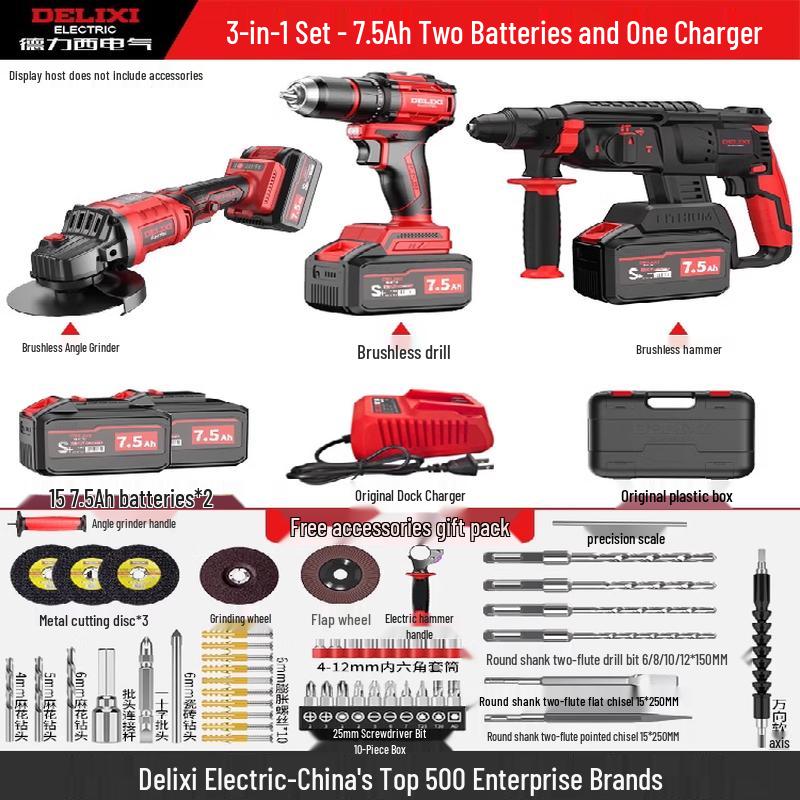 DELIXI Cordless Brushless Rotary Hammer Drill CN plug (adapter included)