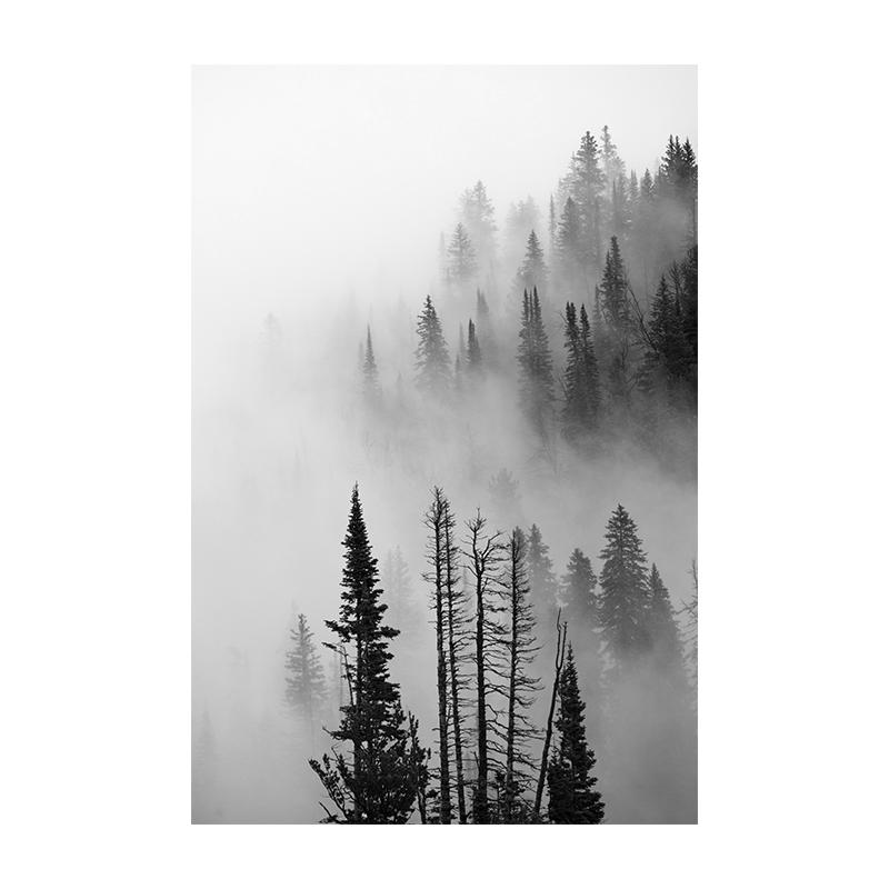 Lesní Jelen Orel Černobílý Krajina Plakát Skandinávská Minimalistická Malba Severské Nástěnné Umění Obrázek Plátno Tisky Pokojová Dekorace