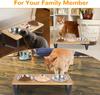 Elevated Cat Food Water Bowls, 6 Stainless Steel Bowls, 15° Tilted Raised Cat Bowl Set, for Indoor Cats for Small Cats