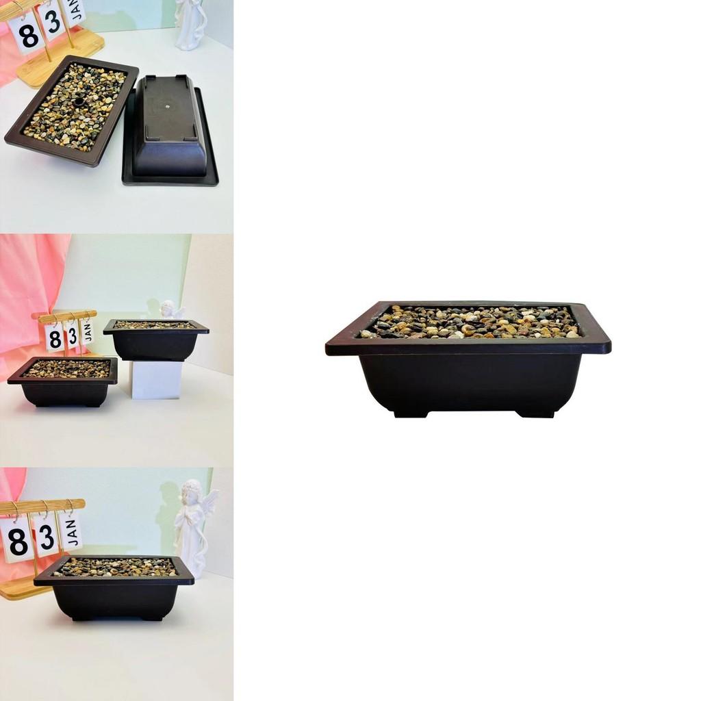 Flowerpot With Simulated Rainflower Rocks For Office Or Living Room Decor