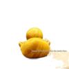 Cute Cartoon Yellow Duck Wood Carving Ornament for Home or Office