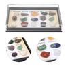 multi-color natural mineral texture mini crystal collection stones  cabinet mineral specimen layout