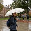 Sun Protection Dual-Use Umbrella UV Protection Folding Umbrella Travel Rain Umbrella  Beach