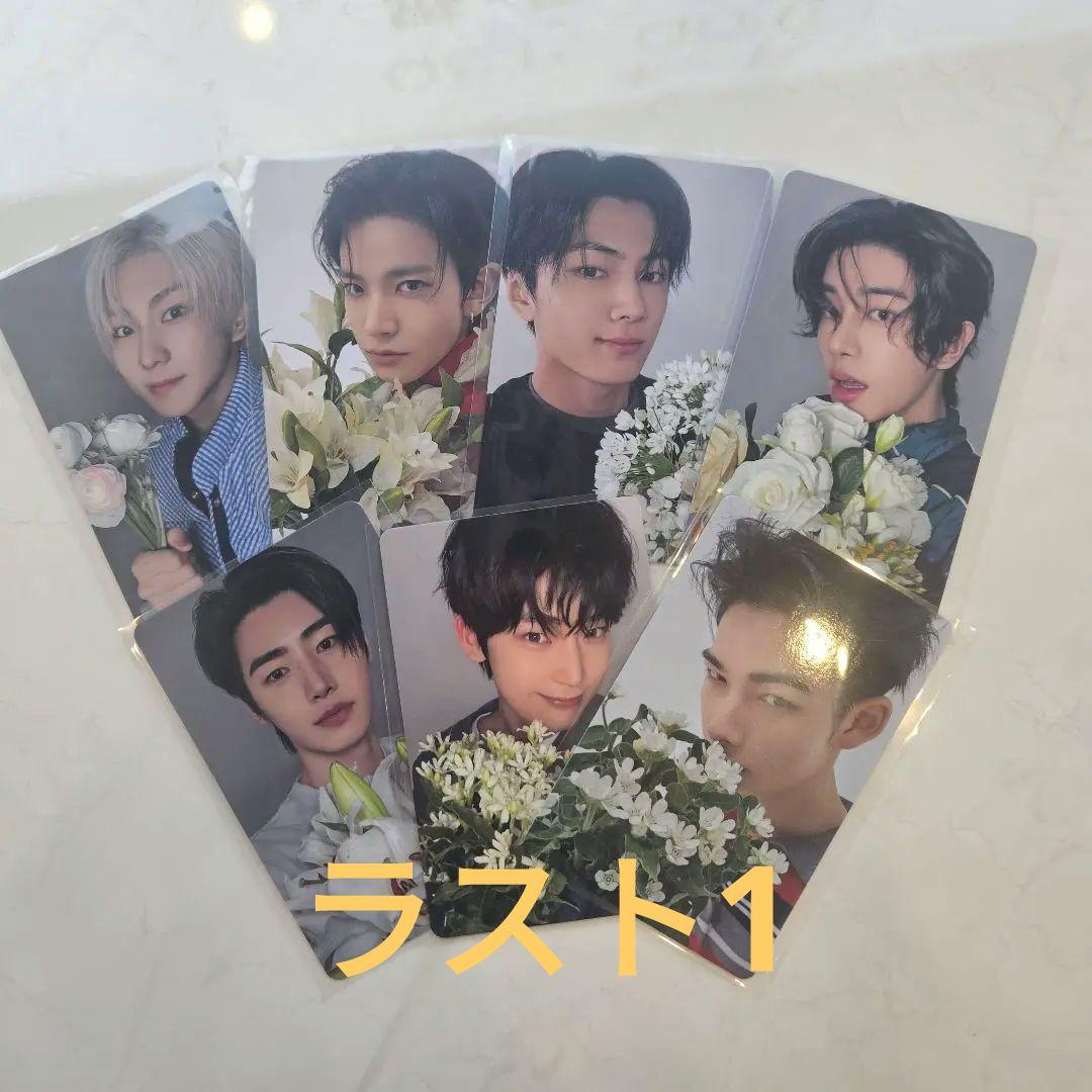 

[USED] ENHYPEN Japan Single YOI WEVERSE Bonus Trading Card Complete Set