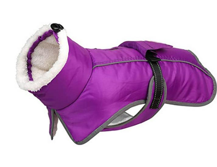 Autumn Winter Waterproof Warm Dog Coat - Cotton Cold Protection Pet Clothing