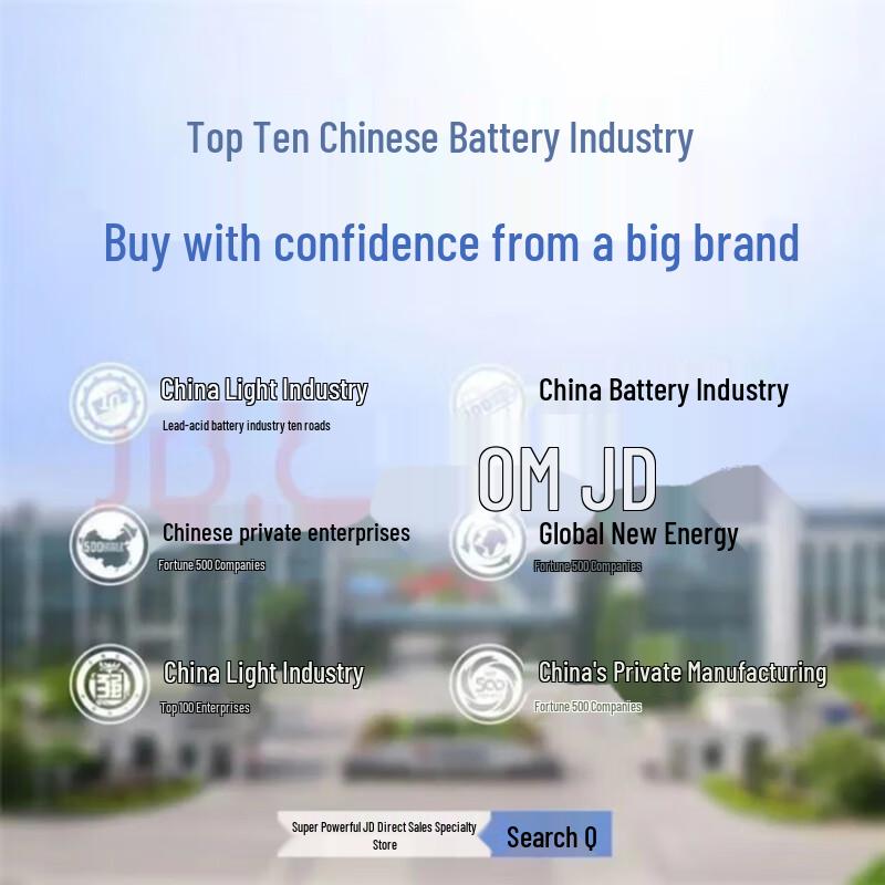 ChaoWei 4V 4.5Ah Electronic Scale Battery