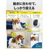 Tapo Pet Camera for Dogs, 4K, 8MP, 18x Zoom, 360° Pan/Tilt, AI Auto Tracking, 12m Night Vision, Two-Way Audio, 3-Year Manufacturer's Warranty, Indoor 