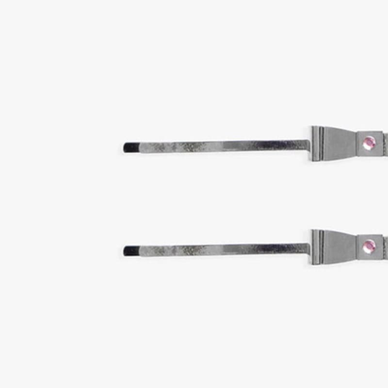 pink PINEAPPLE [2EA 1SET] ribbon METAL HAIRPIN SET_SILVER