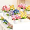 New Handmade Mini Crochet Flowers Photo Props Simulation Knitted Potted Flower Gift DIY Artificial Flower Bonsai Teachers' Day