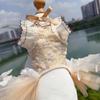 Champagne Pet Dog Clothes Spring Summer Soft Hollow Lace Bow Sling Dresses For Small Medium Dog Chihuahua Puppy Costumes Skirts