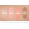 The Saem Blusher Perfect Glam Stick CR01 Apricot Milk X2
