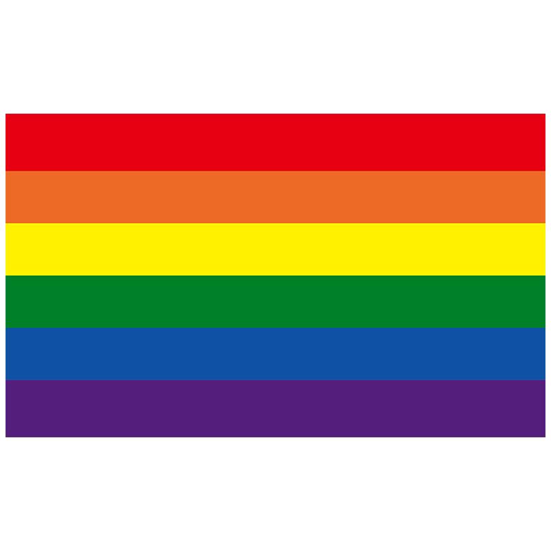 Aerlxemrbrae Bandiera Arcobaleno 150X90CM Stendardo Poliestere 100D occhielli lgbt Gay arcobaleno Progress Pride flag