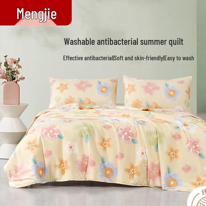 

Mengjie Antibacterial Printed Summer Quilt