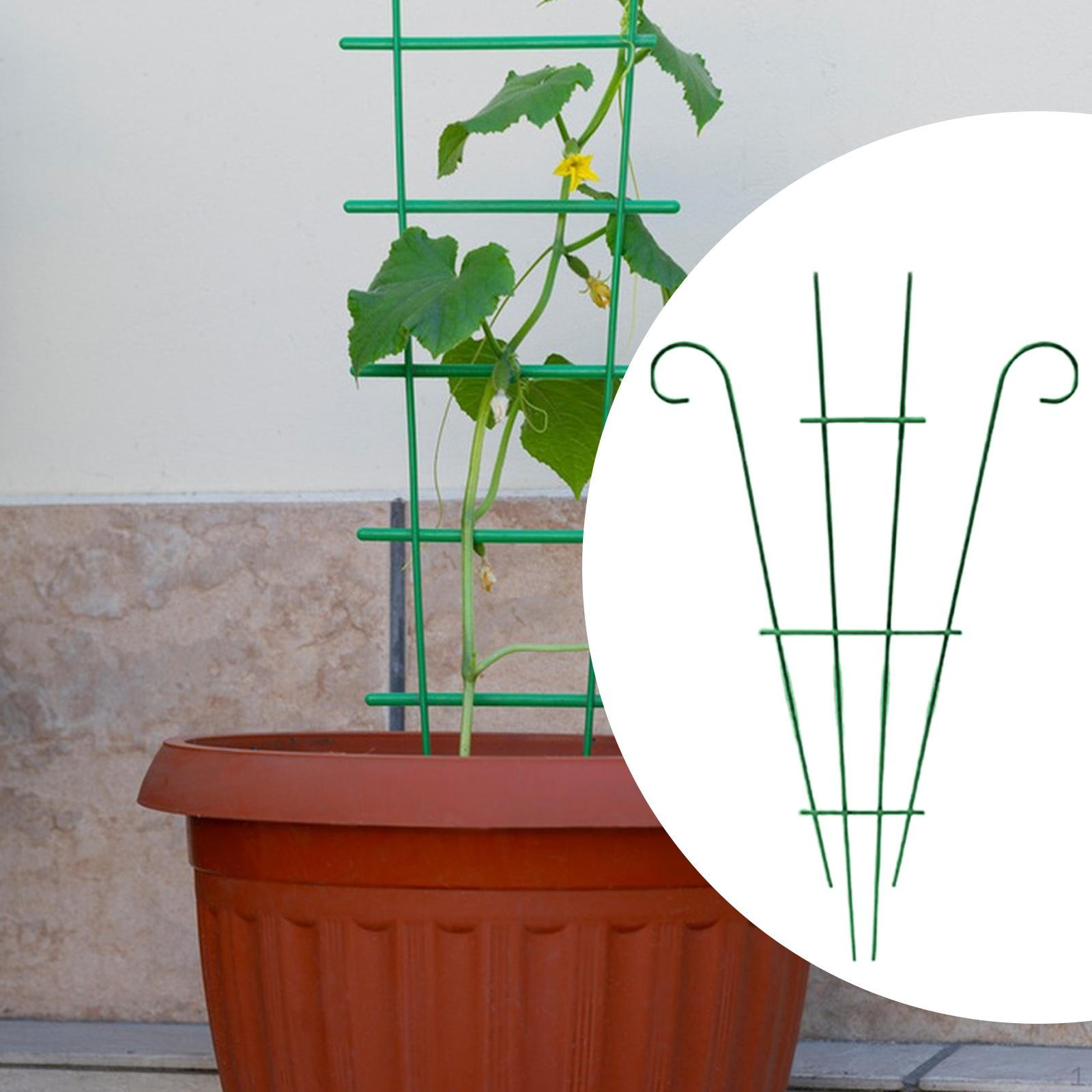 

Решітка для витких рослин Садова багатоцільова атмосферостійка міцна залізна рослина зелений