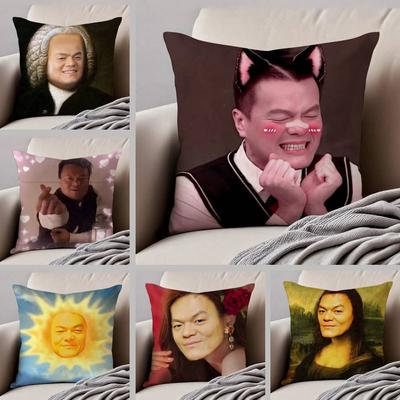 J-Jyp Meme Pillow Case Silky Elegant Comfort Sofa Bed Invisible Zipper Beach Pillowcase