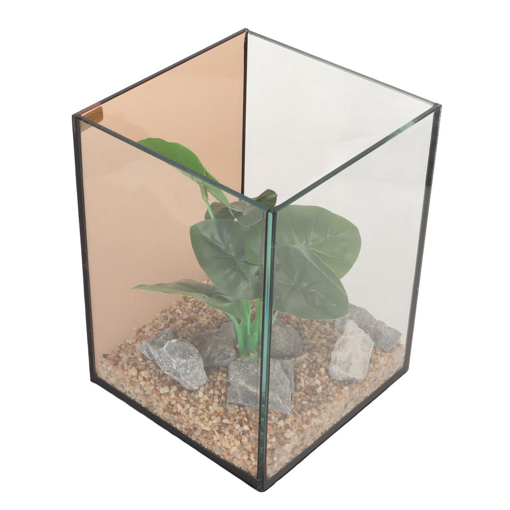 Glass Aquarium Mini Compact Ingenious Safe Low Noise Free Water Change Fish Tank Kit for Tabletop