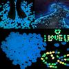 Luminous Stones Garden Glow In The Dark Walkaway Aquarium