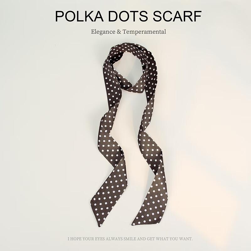 Polka Dot Gradient Twill Scarf Tie