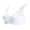Eleganter Und Sexy Spitze Damen BH Übergröße 75-100 D E Ultradünne Büstenhalter 95e 100e Unterwäsche