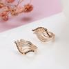 New  Rose Gold Color Bling Black Natural Zircon Leaf Earrings Elegant Wedding Jewelry Fine Daily Women Earrings