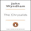 The Chrysalids by John Wyndham Paperback Book 9780241983928