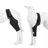MIMIGO Dog Elbow Brace Protector Pads for Canine Elbow and Shoulder Support Elbow Hygroma, Dysplasia, Osteoarthritis, Elbow Calluses, Pressure Sores a