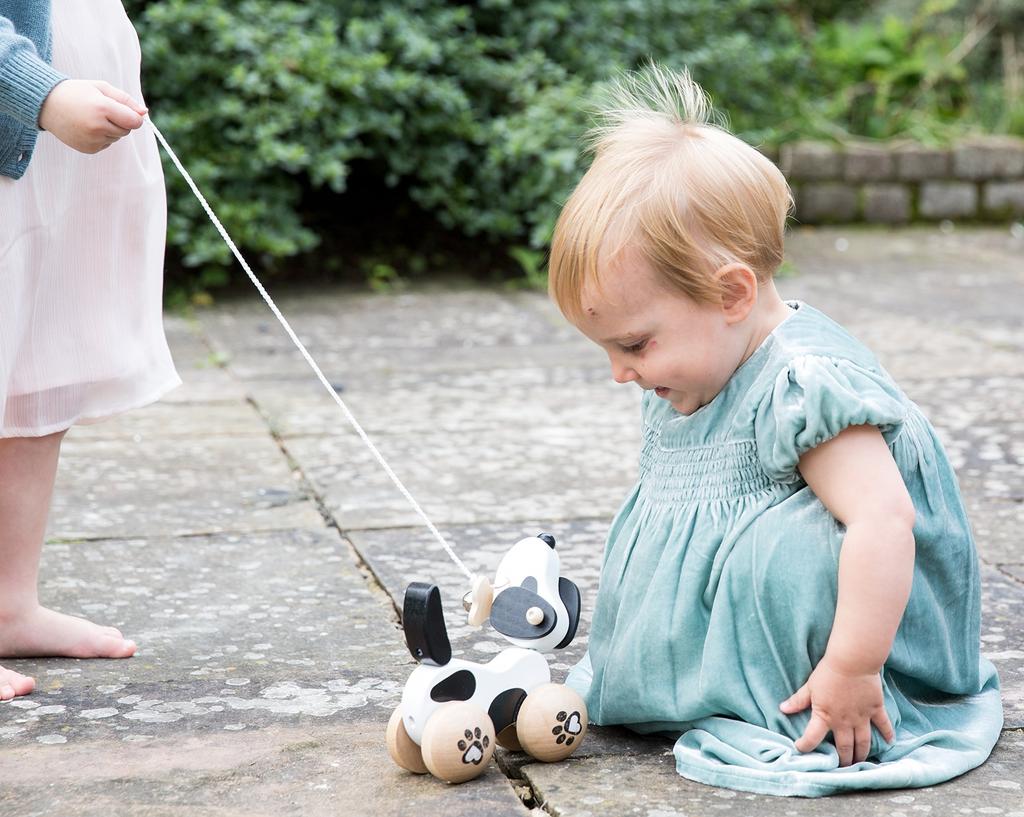 Classic World Pull Toy, Wooden Dog Walking Toy for Kids, Suitable for Girls and Boys (18 Months, ...