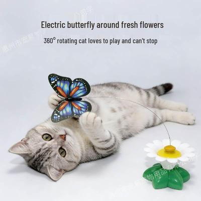 Automatisches rotierendes Schmetterling & Kolibri Katzen-Kratzbaumspielzeug zur Selbstunterhaltung