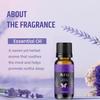 Aerra Harmony Sextet – Lavender, Rose, Lemongrass, Orange, Jasmine, Sandalwood Essential Oil Combo (6 X 15ml) – Puja, Diffuser