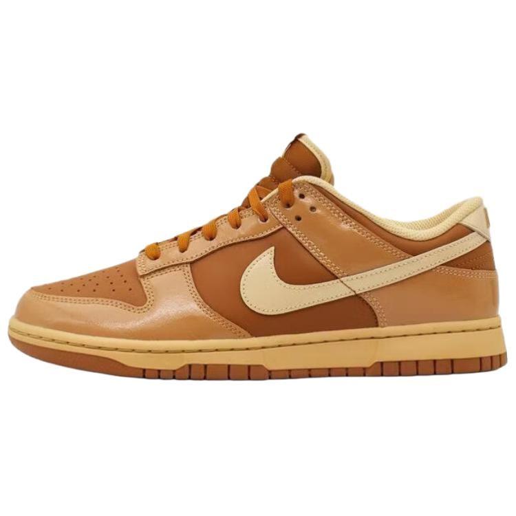 Nike Dunk Skateboard Shoes Men's Brown IM4415-200