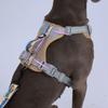 Hundegeschirr ohne Ziehen für mittelgroße und große Hunde, reflektierende Weste mit Griff, Welpenhalsband, Geschirre, Haustier-Zubehör für Spaziergänge im Freien