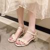 Korean version of thick heel with women's beach shoes 2025 summer new popular comfortable non-slip with skirt little fairy sandals